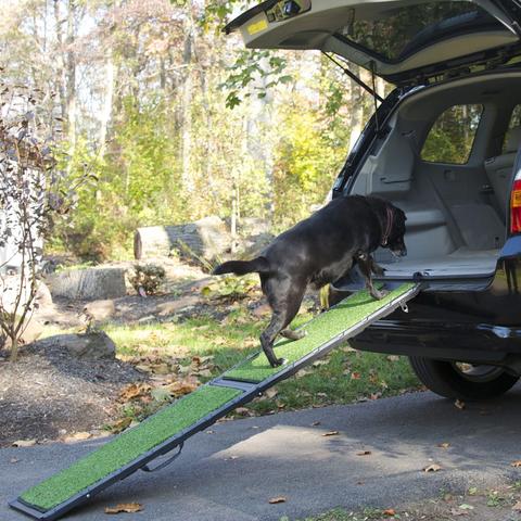 InnoPet® GrassRamp  - 4