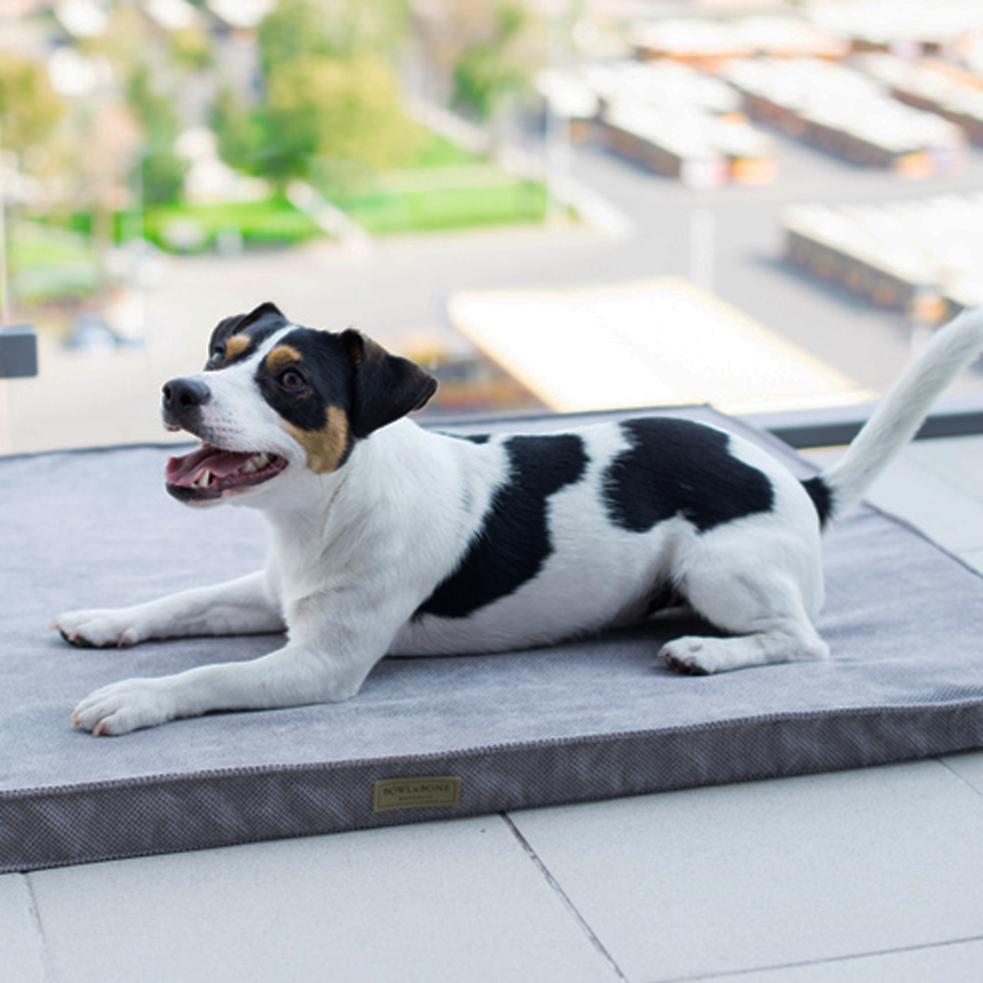 B&B Hundmatta CHILL Sillver - 4