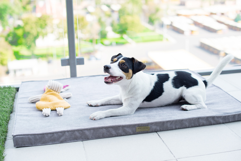 B&B Hundmatta CHILL Sillver - 5