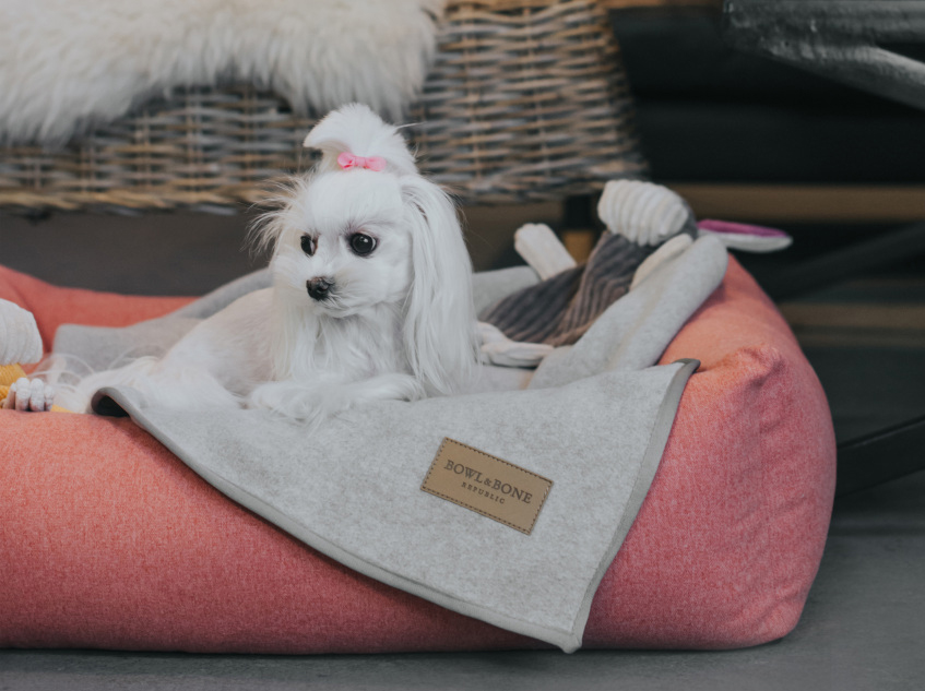 B&B Dog Bed LOFT  - Coral - M - 6