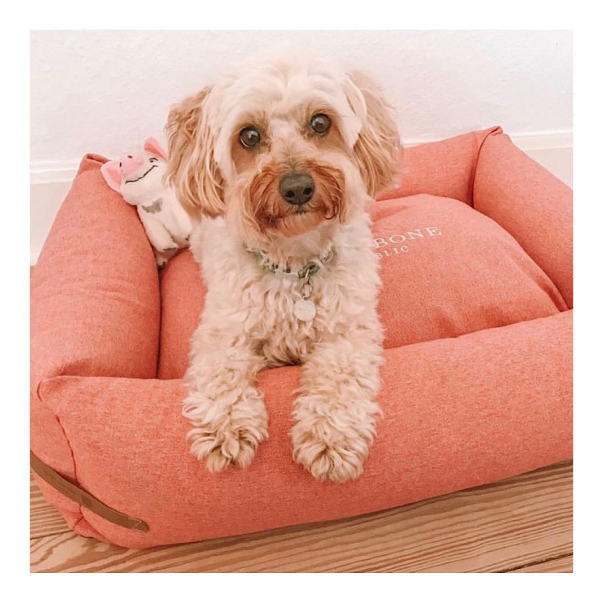 B&B Dog Bed LOFT  - Coral - M - 4