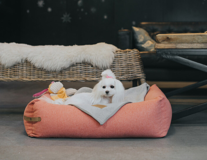 B&B Dog Bed LOFT  - Coral - M - 5