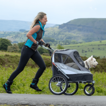 INNOPET SPORTY DOG TRAILER DELUX  - SVART/SILVER