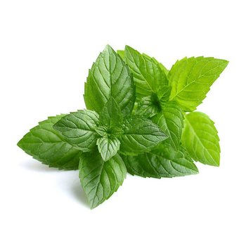 Pepparmynta   ( Mentha piperita) 150g - Fortinut