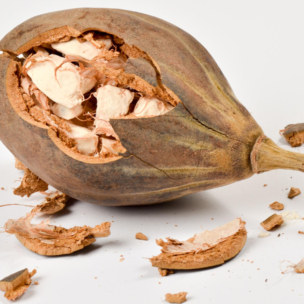Apinanleipäpuun hedelmäpulveri 1kg  - 2