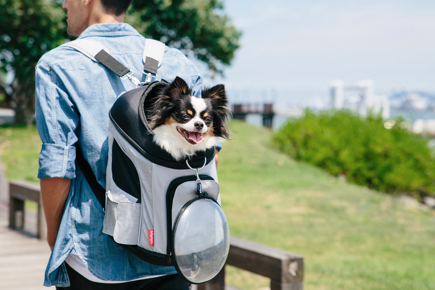 Explorer Airline Transparent Pet Carrier - Gray - 3