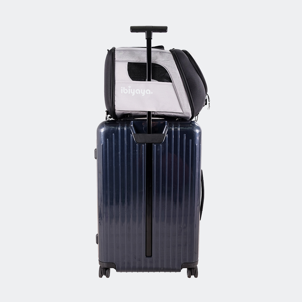 Explorer Airline Transparent Pet Carrier - Gray - 4