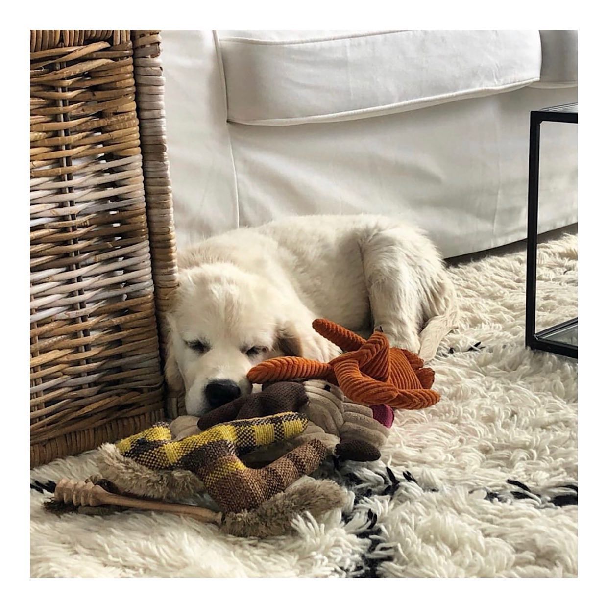 B&B Dog Toy PONY - 2