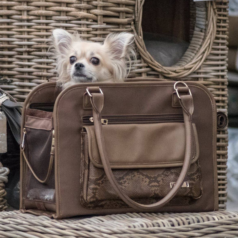 InnoPet Lizard Dog Carrier - 3