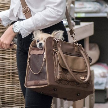 InnoPet Lizard Dog Carrier