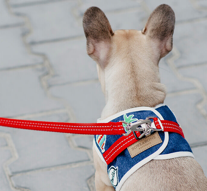 B&B Hundsele DENIM -  Marinblå  - 5