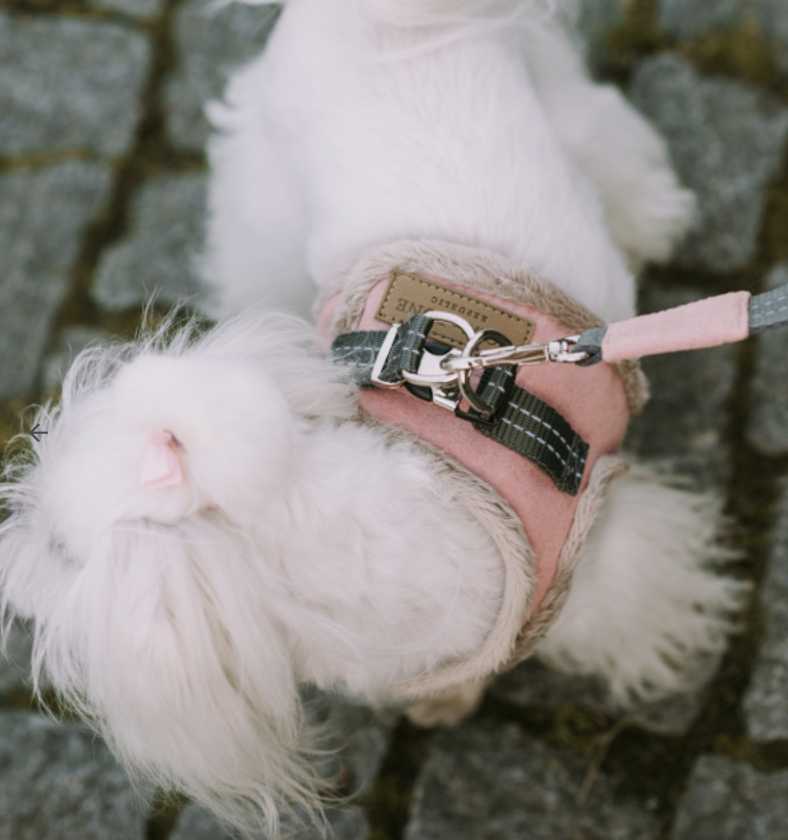 B&B Dog Harness YETI  Pink - 4