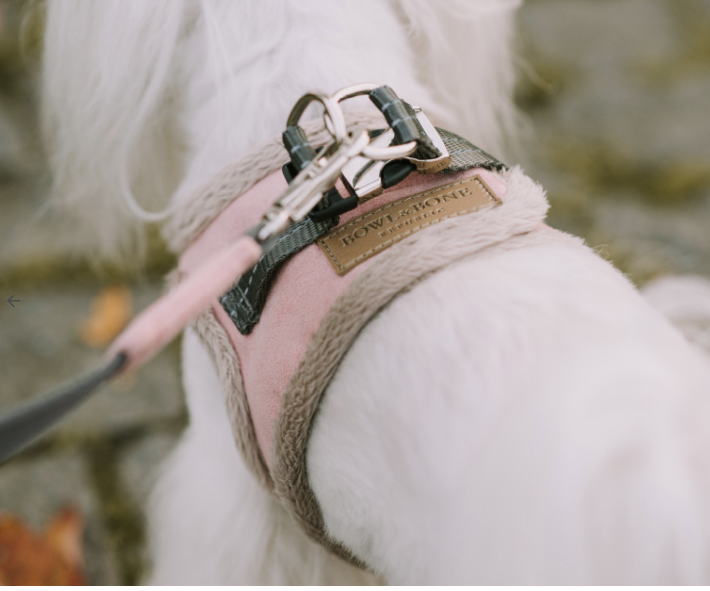 B&B Dog Harness YETI  Pink - 3