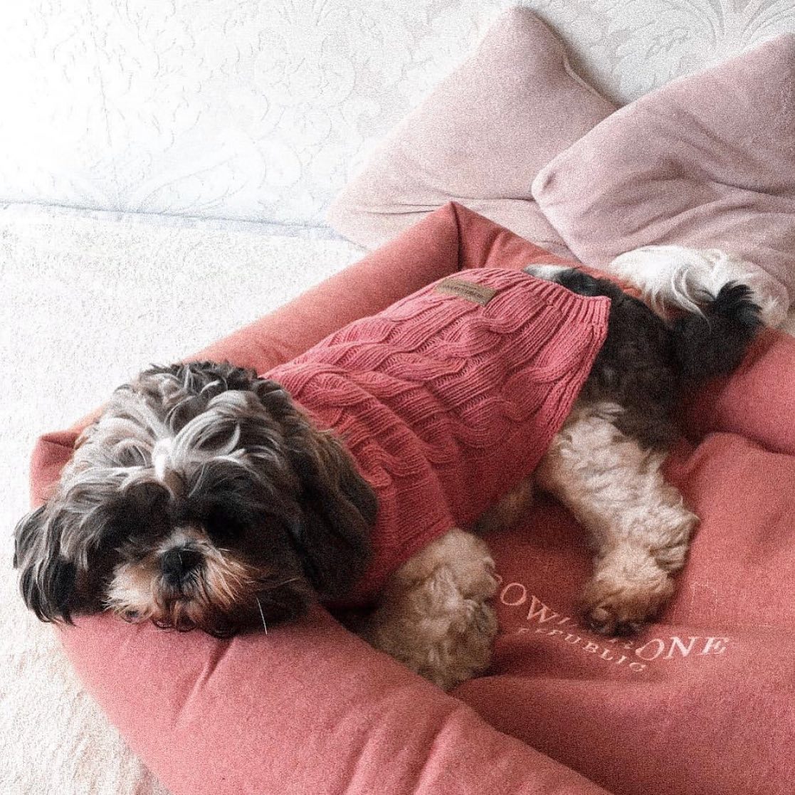 B&B Dog Sweater ASPEN - Pink - 3