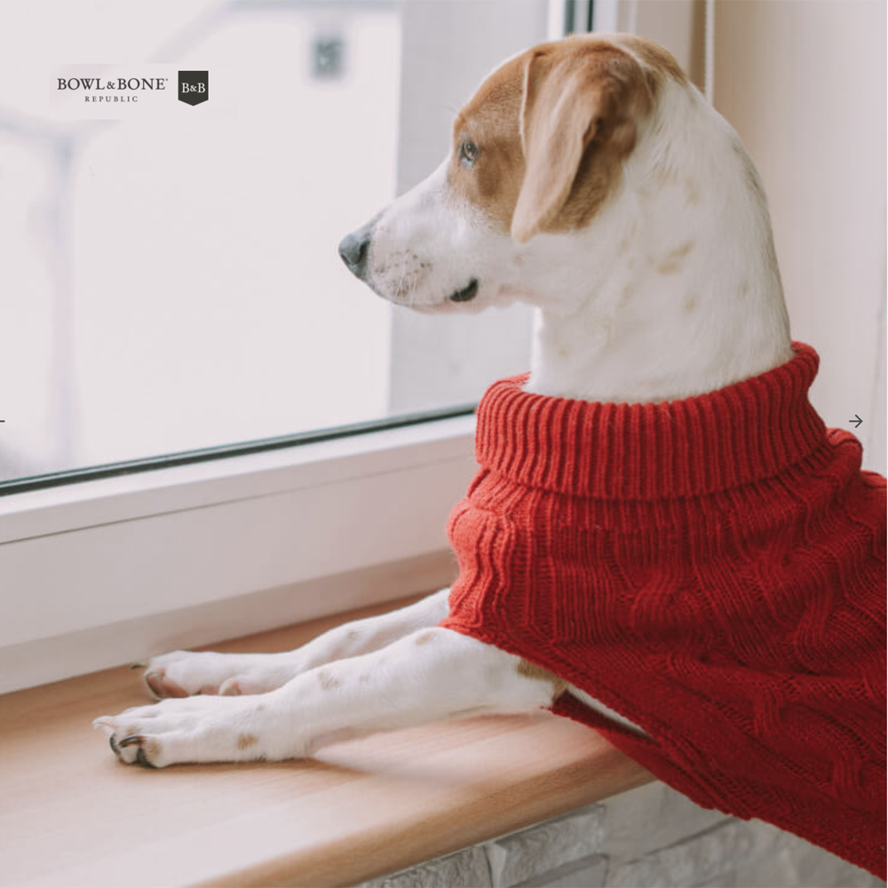 B&B Dog Sweater ASPEN - Red - 3