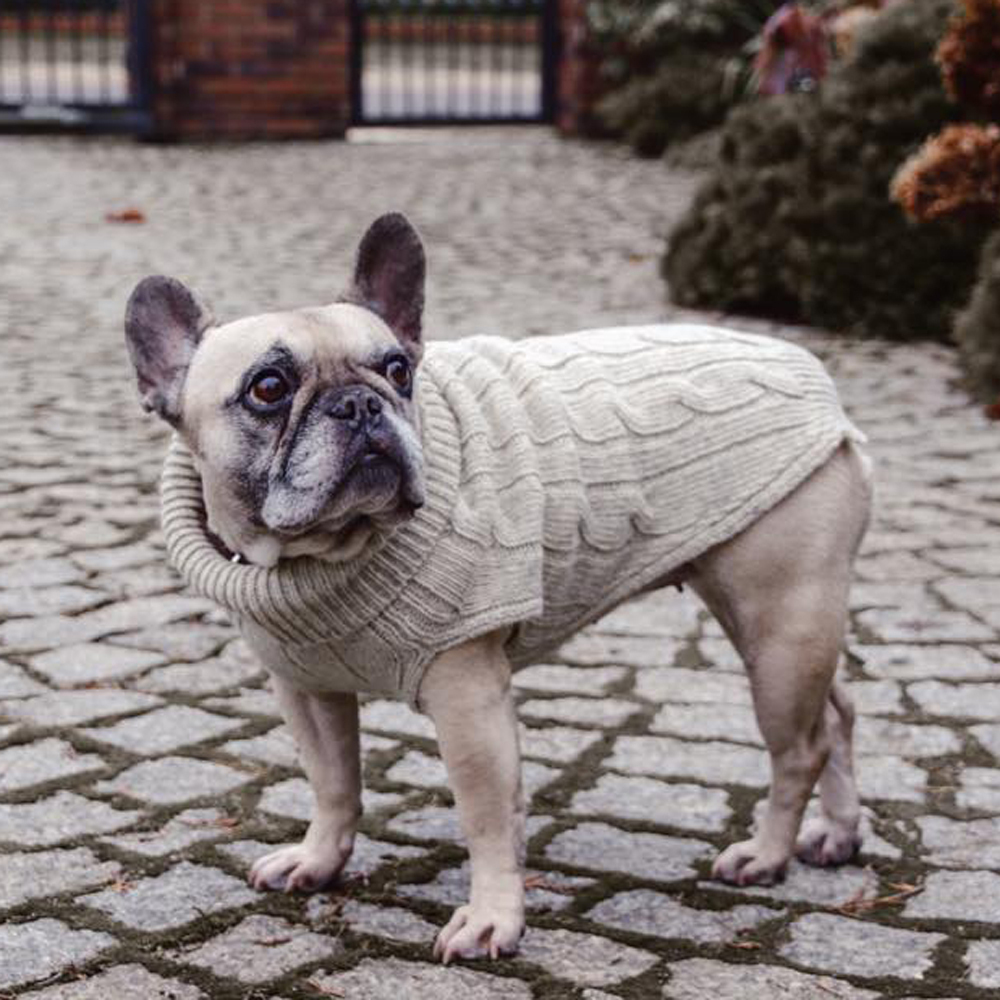 B&B Dog Sweater ASPEN - Ecru - 6