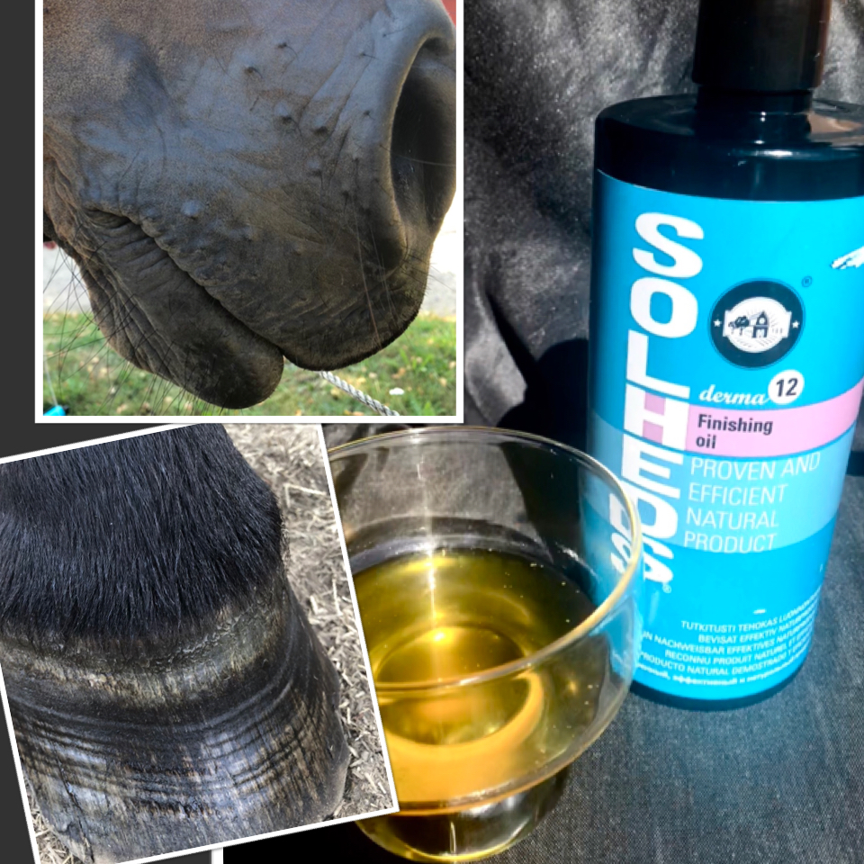 Derma12 Finishing Oil 750 ml - Vårdande naturlig olja - 3
