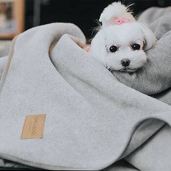 B&B HUNDFILTAR