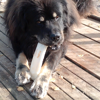 RAUH NATURAL DOG CANDY