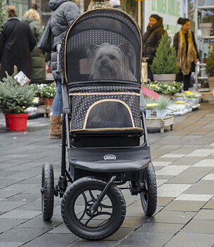 STROLLERS FOR DOGS