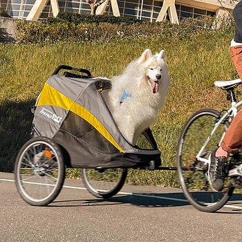 BIKE TRAILERS