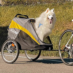 BIKE TRAILERS