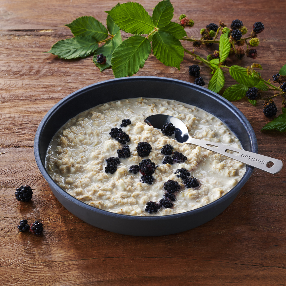Katadyn Emergency Food | Frystorkad mat | Vegetarisk | Matranson| 3800g - 4