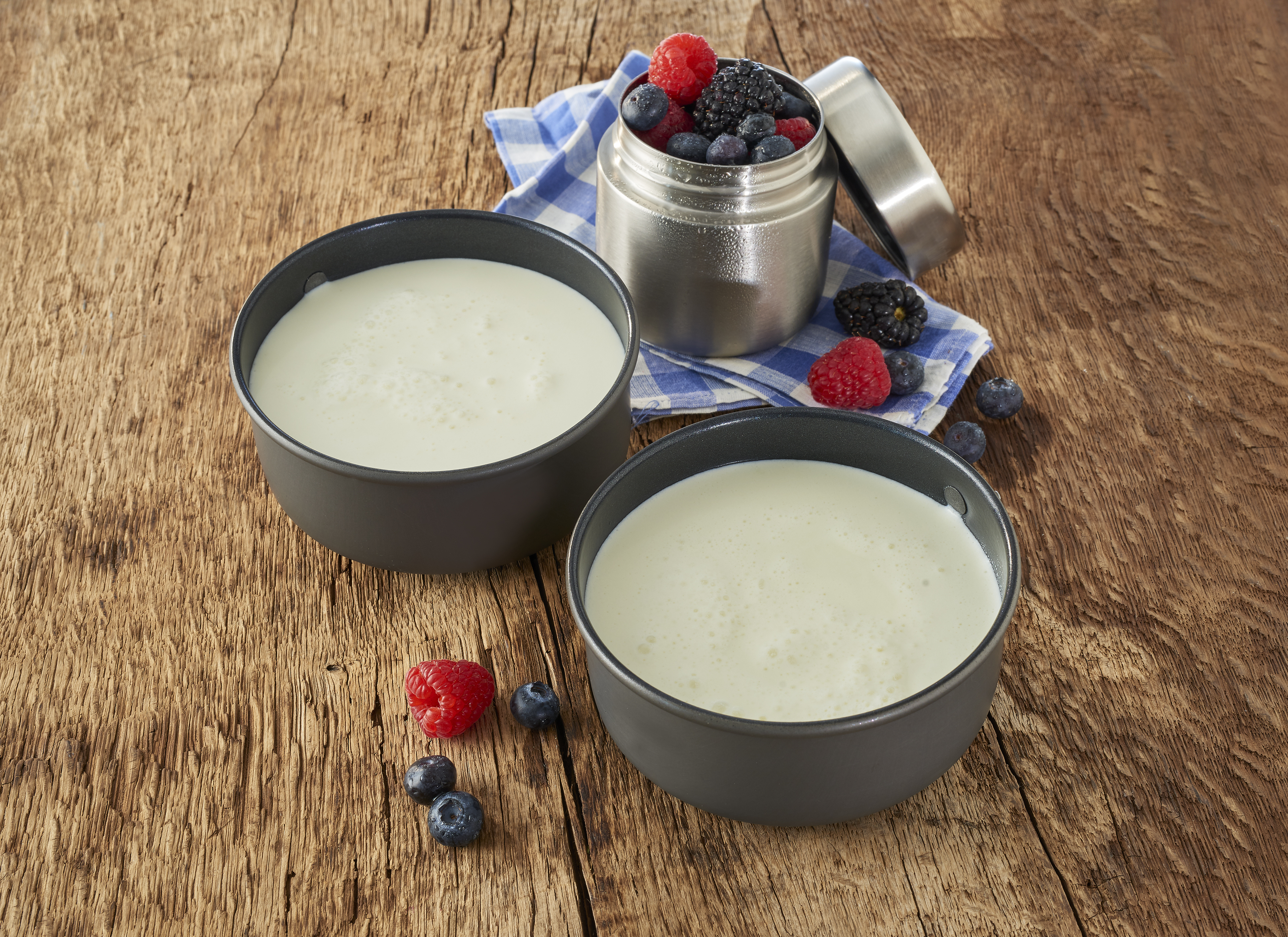 Emergency Food | Whole Milk Powder | Frystorkad mat | 650g - 2