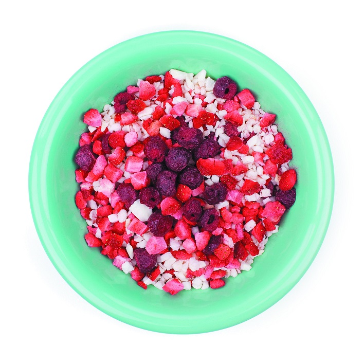 LyoFood | Fruity dream | Gefriergetrocknete Lebensmittel | 30g - 2