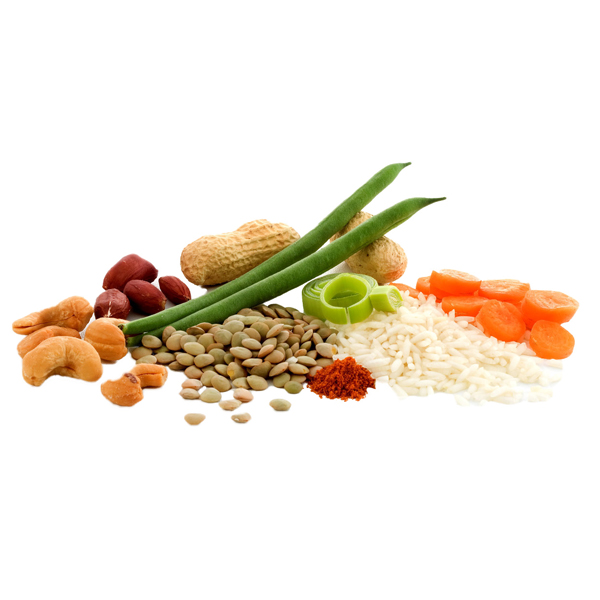 Adventure Food | Cashew Nasi | Frystorkad mat | 140g - 2