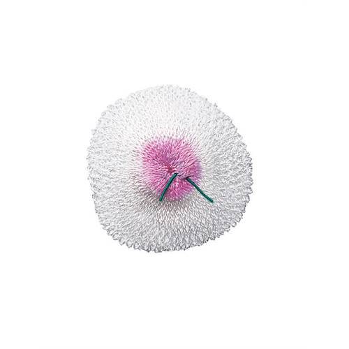 Primus Gl&ouml;dn&auml;t