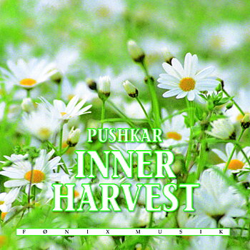 Inner Harvest - Pushkar