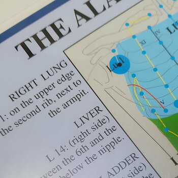 The Alarm Points and The Emergency Points, A4