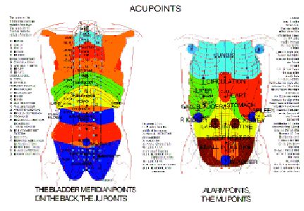 Acupoints, A4 - 4