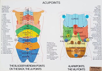 Acupoints, A4