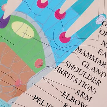 Hand and Foot Reflexology Chart, plansch A2