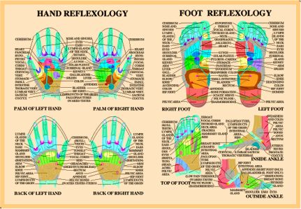 Hand and Foot Reflexology Chart, plansch A2