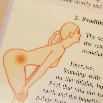 Yoga Series for the Seven Chakras