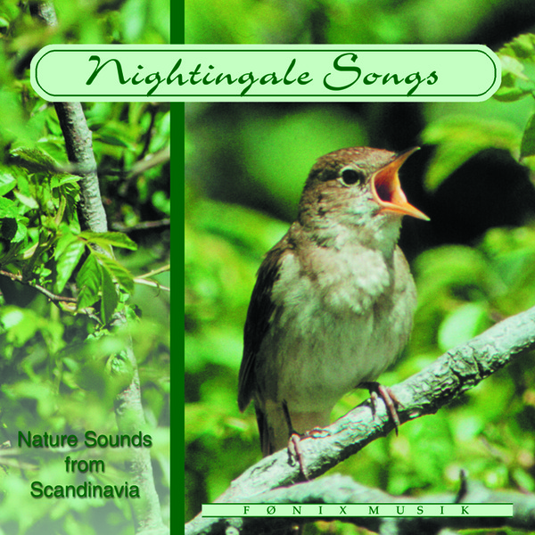 Naturljud. NIGHTINGALE SONGS