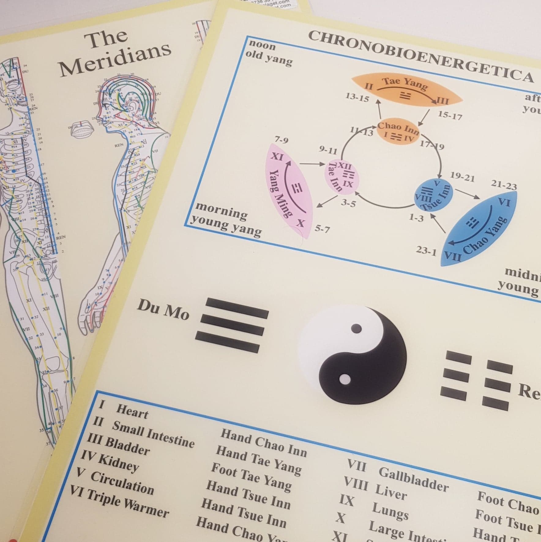 Kroppsakupunkturplansch, Dubbelsidig  A4 med alla meridianer utmärkta-chronobioenergetics, A4 - 3