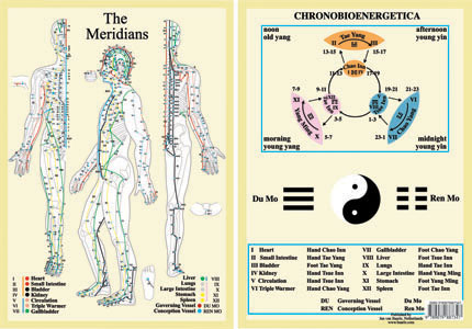 Kroppsakupunkturplansch, Dubbelsidig  A4 med alla meridianer utmärkta-chronobioenergetics, A4