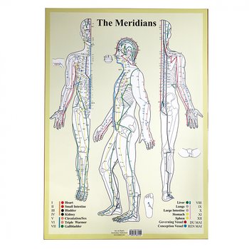 Kroppsakupunkturplansch, Dubbelsidig  A4 med alla meridianer utmärkta-chronobioenergetics, A4