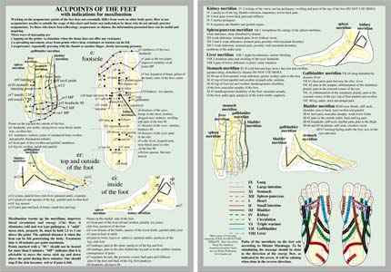 Akupoints of the feet - with indications for moxibustion