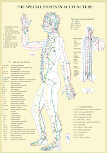 The special points in acupunkture A4 plansch