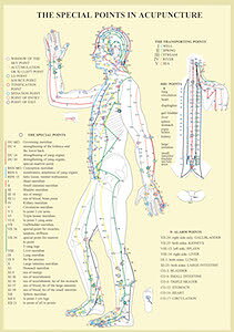 The special points in acupunkture A4 plansch