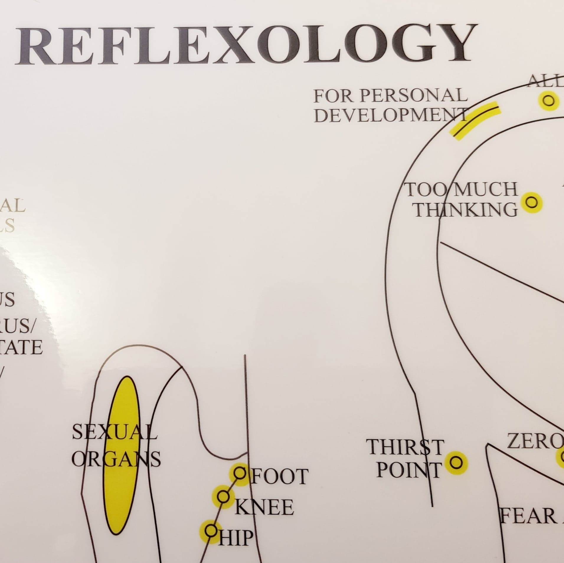 Ear reflexology Chart, plansch A4 - 3