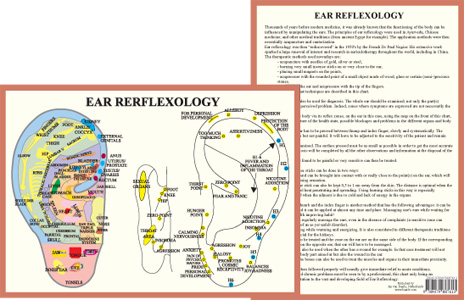 Ear reflexology Chart, plansch A4