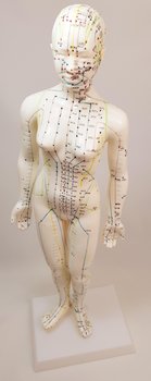 Modell, kvinna 48 cm