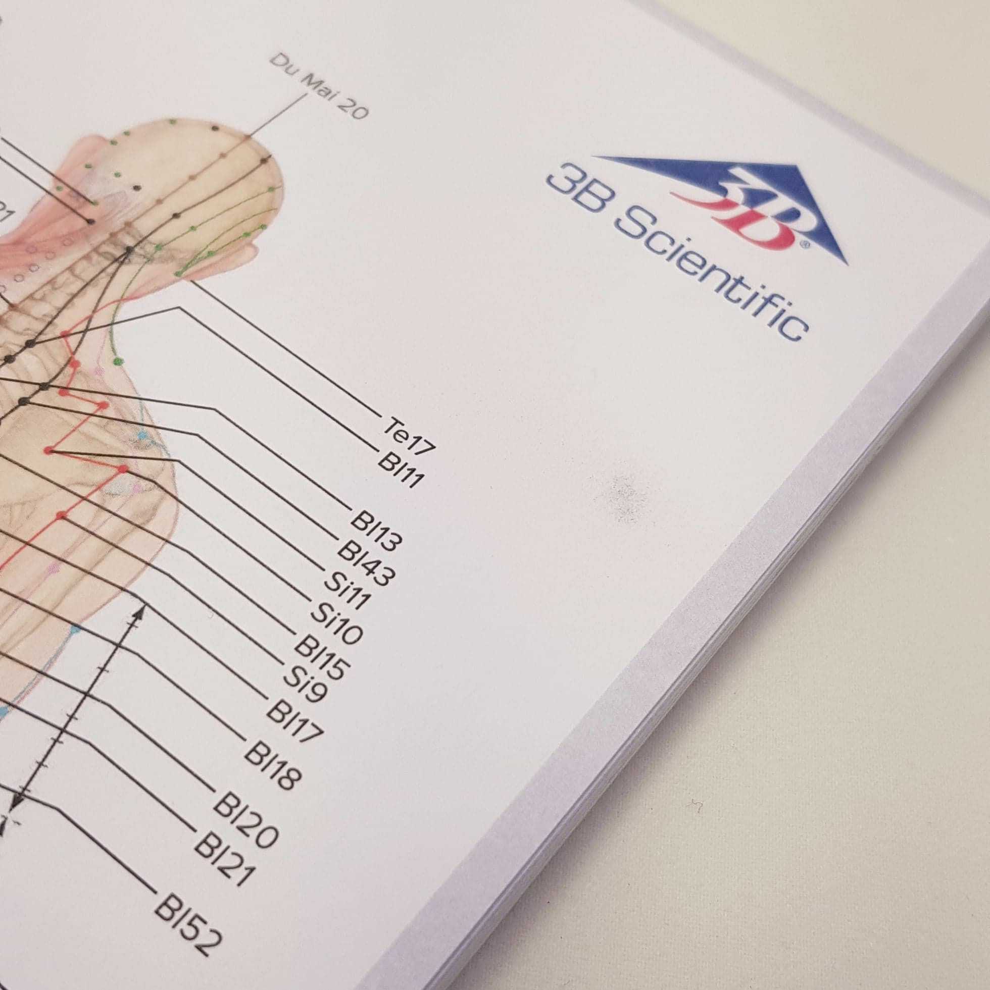 Patientkort - Acupuncture and Meridian Notepad - 3
