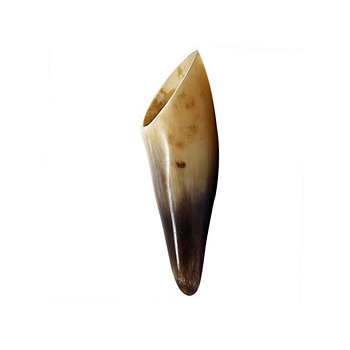 Buffelhorn för akupressur och Gua Sha, 15-18 cm